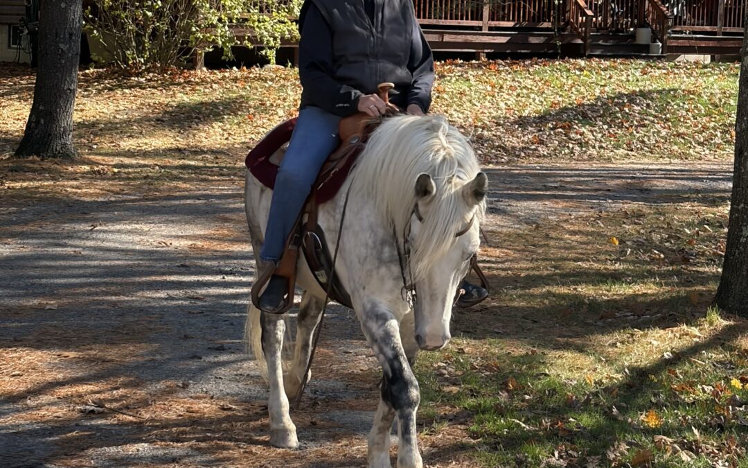 Ricque V. Finucane, LCPC