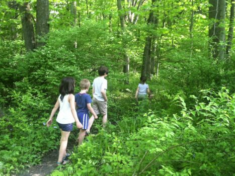 08d8e005-2774-4c1e-83c2-1be8426333b3