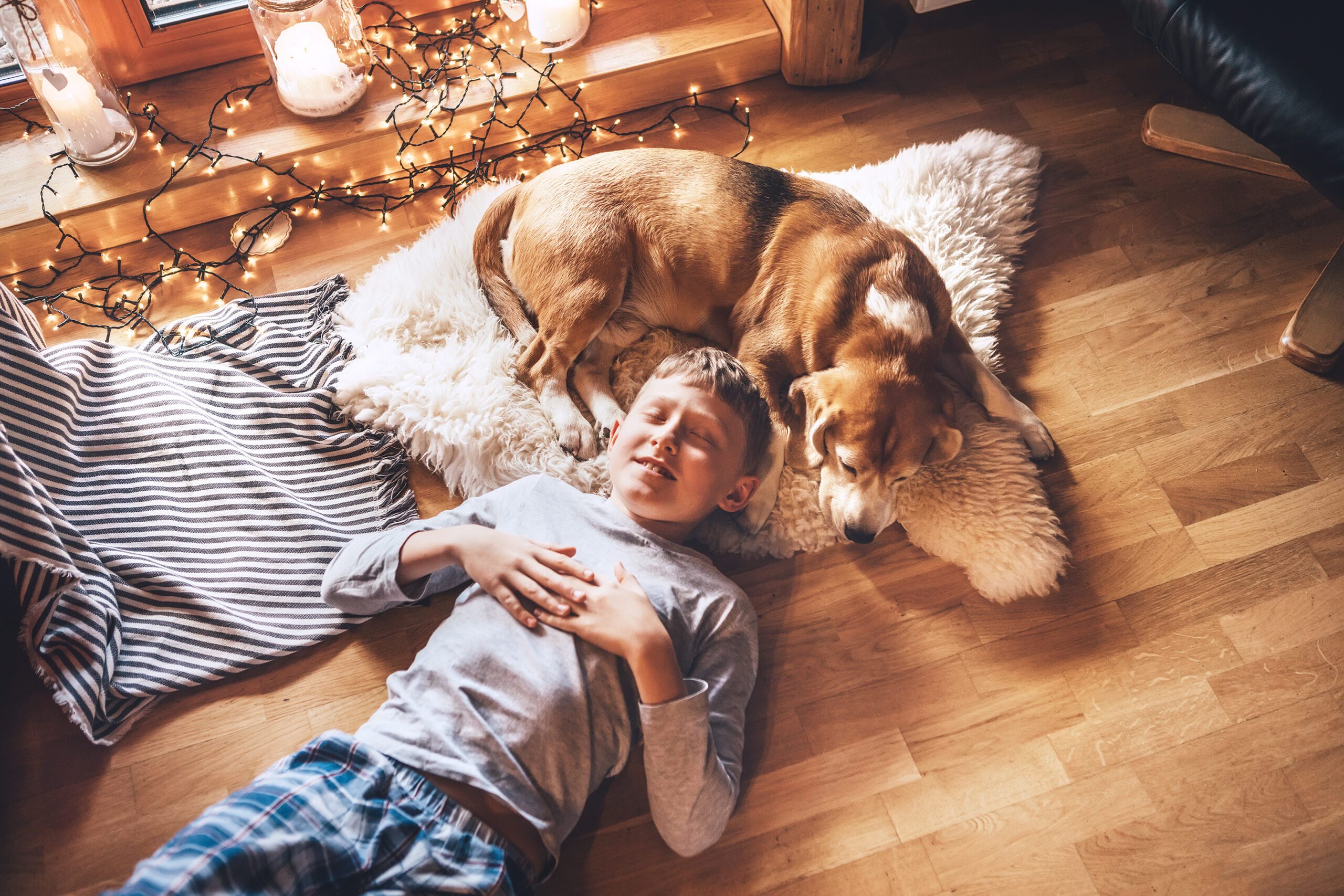 Boy lying on the floor and near beagle dog sleeping on sheepskin in cozy home atmosphere Boy lying on the floor and near beagle dog sleeping on sheepskin in cozy home atmosphere. Peaceful moments of cozy home, holiday time concept image
