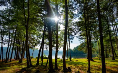 Summer Scheduling Tips to Help You Enjoy the Season